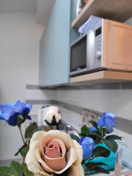 شقة Casa Fiori Blu - فيليني فالدارنو المظهر الخارجي الصورة