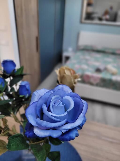 شقة Casa Fiori Blu - فيليني فالدارنو المظهر الخارجي الصورة